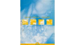 APRENDER FEMINISMOS DEBATIENDO – 2002