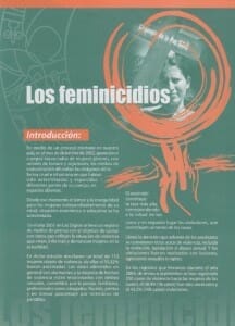 LOS FEMINICIDIOS - PORTADA